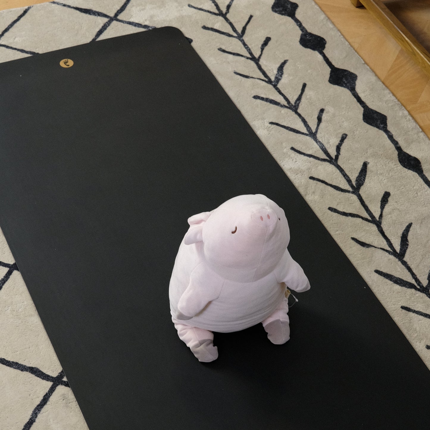 Grounding Yoga Mat (Double-sided) Kit 接地雙面瑜伽墊套裝 (5mm厚)